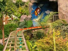 -南宫五洲植物乐园