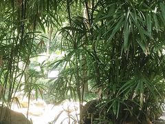 -融汇温泉