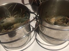 -多伦多海鲜自助餐厅(百盛购物中心三阳店)