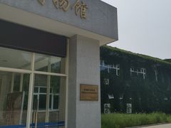 -北京麋鹿生态实验中心
