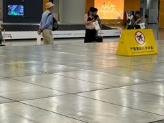 -上海浦东国际机场-T2航站楼
