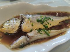 -骏莱海鲜鱼港(五角场店)