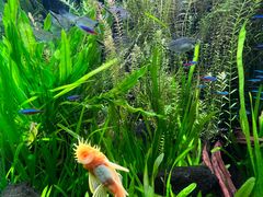 -上海海洋水族馆