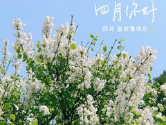 -星巴克臻选(深圳宝安大仟里1店)