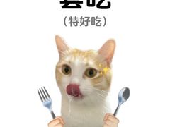 -小街天府(西工小街店)