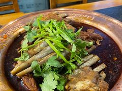 羊排蝎子锅-友乐居羊蝎子(西直门店)