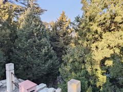 -北京市劳动人民文化宫(太庙)