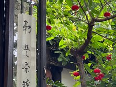 -磁器口古镇