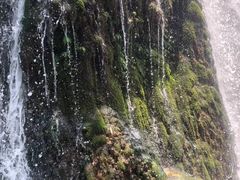 -贵阳市花溪国家城市湿地公园