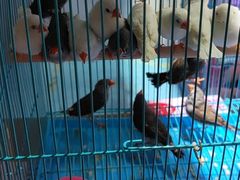 -大学城夜市大排档(凤栖路店)