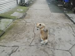 -南花桥羊肉馆老字号(乌镇店)