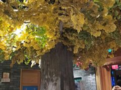 -北平楼·烤鸭·北京菜(牡丹园店)