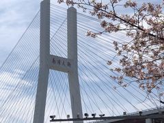 -南浦大桥长途旅游客运站