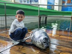 -西霞口神雕山野生动物世界