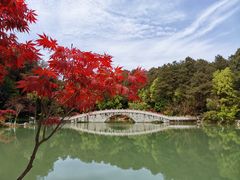 -铁山坪森林公园