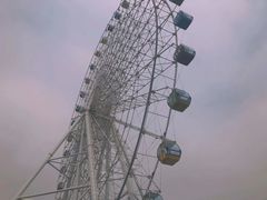 -琴岛之星摩天轮