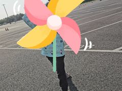 -迪士尼乐园停车场