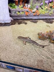 -Zoolung Zoolung动物主题公园(海信广场店)