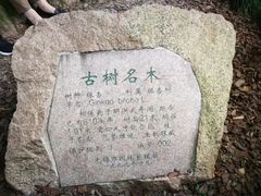 -无锡惠山寺