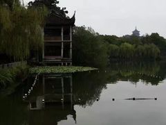 -西湖外事游船(花港观鱼码头)