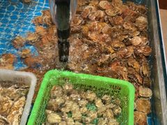 -和源祥·日照菜扛把子(万平口一店)