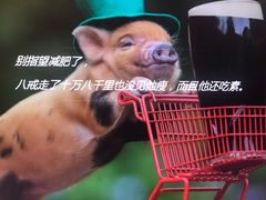 -蜀九香火锅(九眼桥店)
