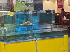-东镇老火锅(高新区店)