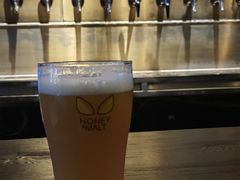 -蜜和麦精酿啤酒吧honey&malt(桐梓林店)