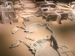 -洛阳周王城天子驾六博物馆