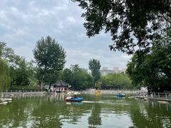 -莲湖公园