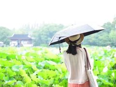 -杭州君悦酒店