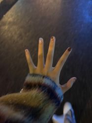 -LILY NAILS美甲美睫