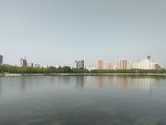 -莲花池公园