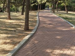 -燕儿岛山公园