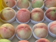 -老袁家蜜桃农场·阳山水蜜桃