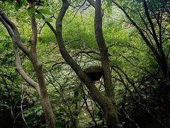 -洛阳花果山景区