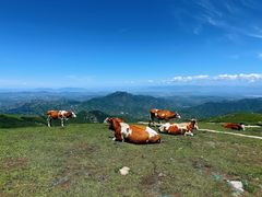 -灵山