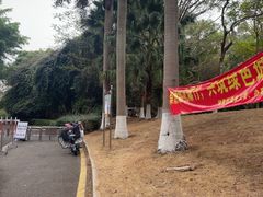 -仙岳公园