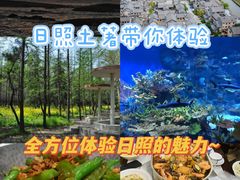 -渡海小渔村.老辈日照菜