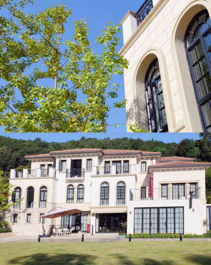 梵谷精品酒店-"先说优点,装修的样子还可以,晚饭味道也不.