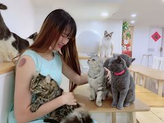 -李小姐の猫咖啡馆(五角场店)