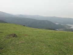 -大姆山草场