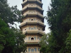 -灵谷景区