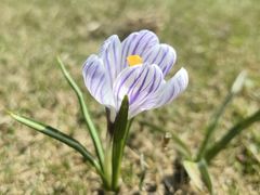 -上海滨江森林公园