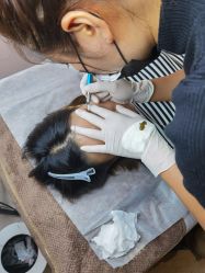 -本小姐美学·半永久纹眉野生眉