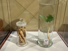-天津自然博物馆