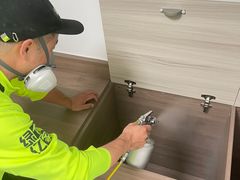 -绿色亿家除甲醛机构