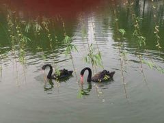 android_upload_pic-东莞市可园博物馆