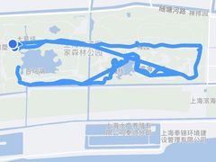 -上海海湾国家森林公园