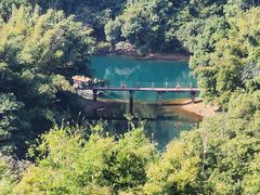 -鼎湖山风景区